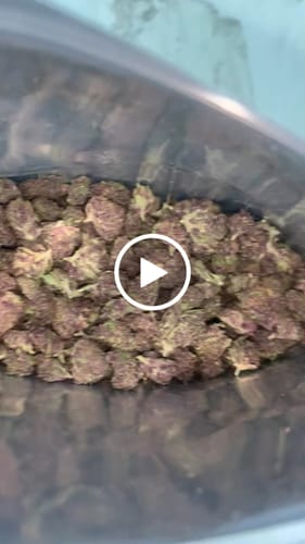 Customer video review of Tropicana Cherry THCA Smalls