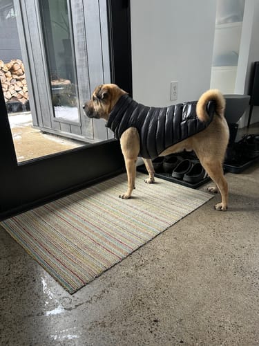 Customer photo review of Puffer Vests