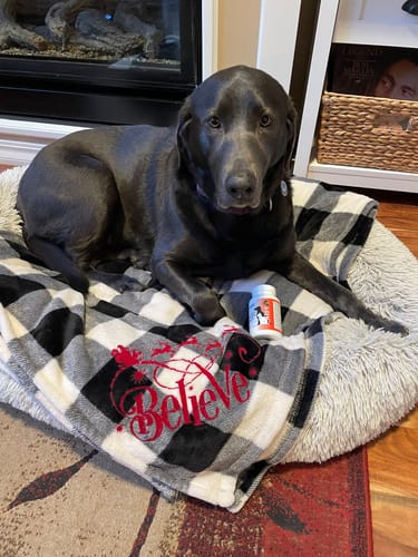 Customer photo review of 1-TDC Oral Health + Mobility Support for Dogs