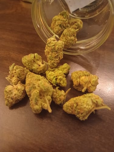 Customer photo review of Gorilla Glue THCA Flower