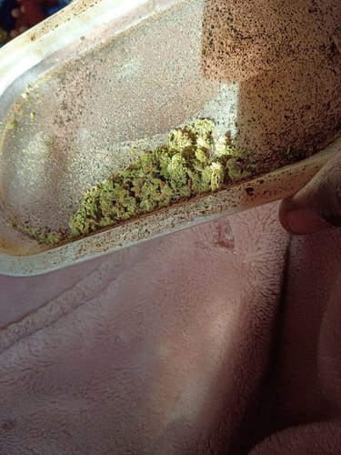 Customer photo review of Shipping Protection by Route