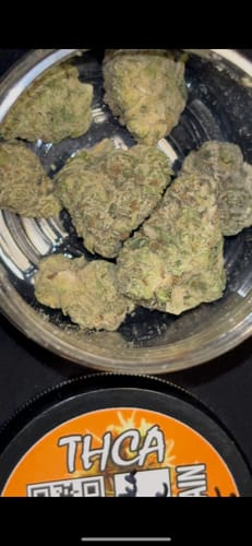 Customer photo review of Alaskan Ice