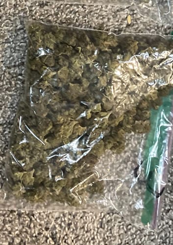 Customer photo review of Sundae Driver Littles - Bulk Littles - Hybrid