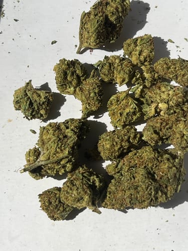 Customer photo review of Residual Sugar THCA Flower