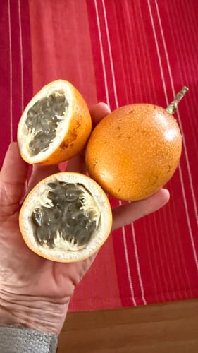 Ein Kunde hält eine ganze und eine aufgeschnittene Süße Granadilla in der Hand, die das volle Fruchtfleisch zeigt.