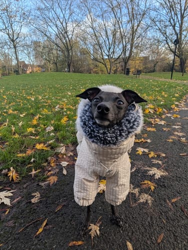 Customer photo review of WinterCore Down Jacket