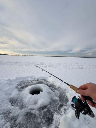 Customer photo review of Beyond ICE Braid 100 Yard Spool - Blizzard Blue