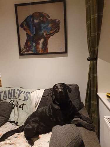 Customer photo review of Black Labrador Large By Louise Luton *Delivers Late December