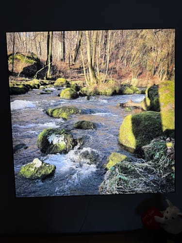 Customer photo review of Wechselmotiv | Eigenes Motiv | Quadrat