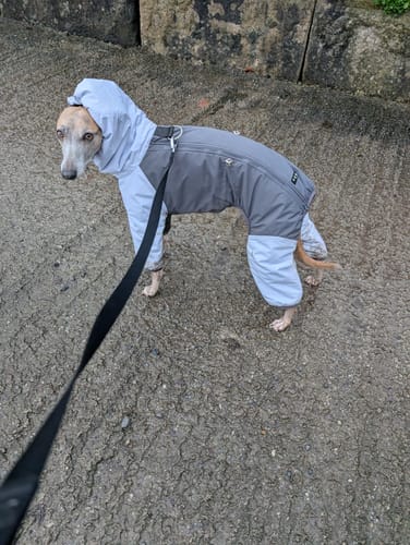 Customer photo review of Autumn Lightweight Thermal Cotton Jacket