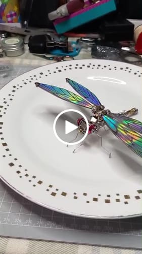 Customer video review of Dragonfly