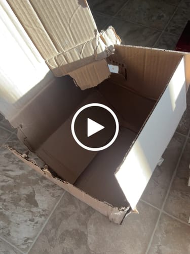 Customer video review of Rear Brake Drum Shoes Spring And Cylinders Kit For Ford Focus K8N-100259