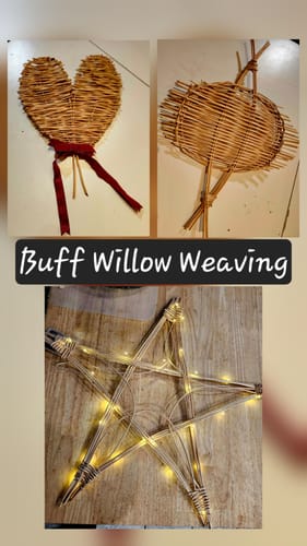 Customer photo review of Getting Started with Willow Course and Kit