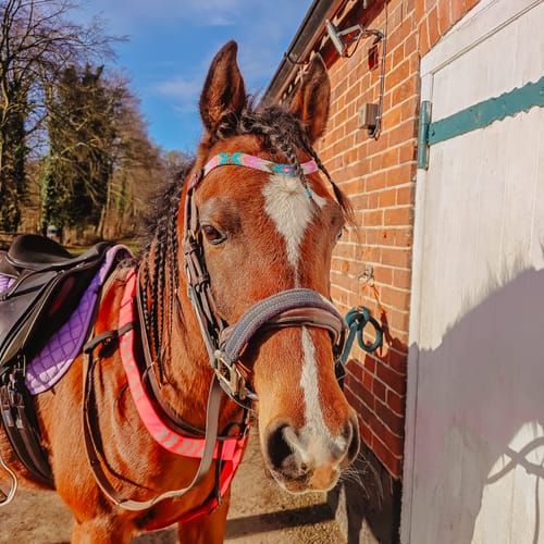 Customer photo review of Eve browband