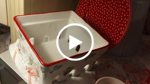 Kundenbewertung mit Video zu GreenGate - Berry Obstschale white