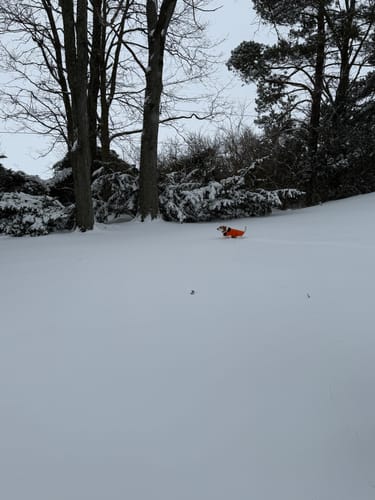 Customer photo review of BEADED – “BREATHE IN, BREATHE OUT, MOVE ON”