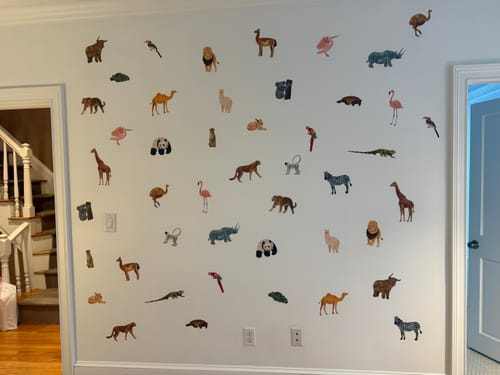 Customer photo review of Little Animals