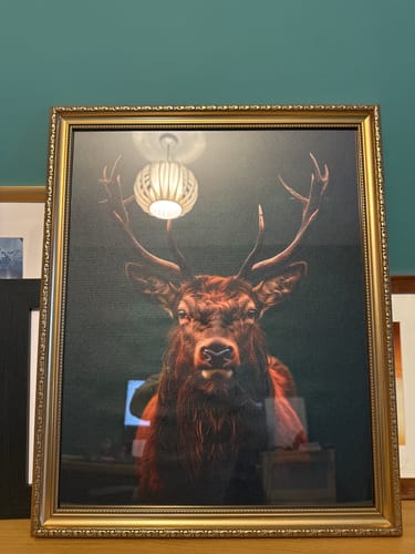 Customer photo review of Highland Stag Print