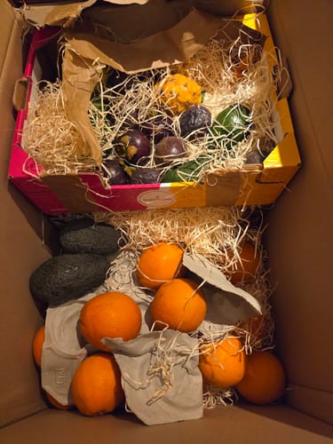 Ein Kunde zeigt die erhaltene Obstbox mit frischen Blutorangen und Avocados.