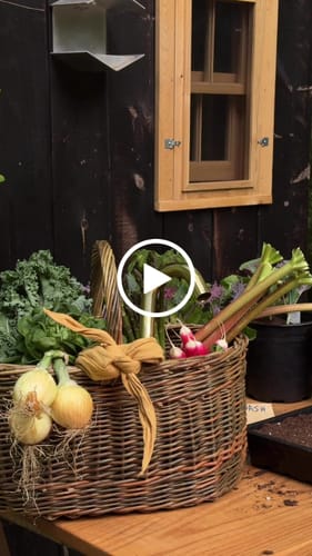 Customer video review of Brass Outdoor Faucet