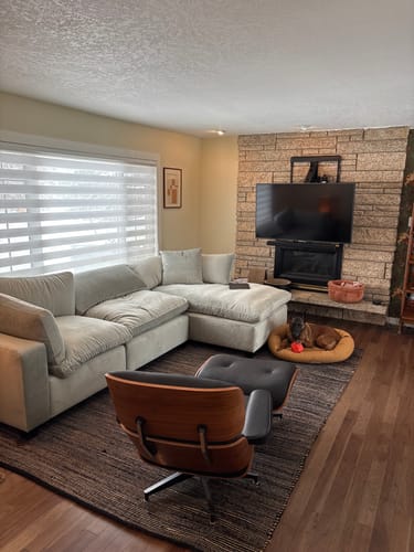 Customer's sage Nimbus Modular Chaise Sectional in a cozy living room with a dog resting nearby.