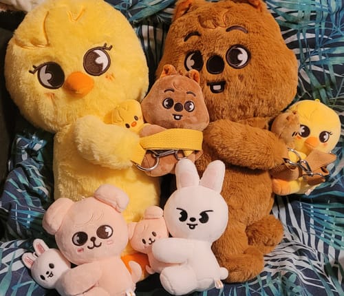 Customer's collection of the cute SKZOO magnet plush set, with the larger characters holding the smaller, interchangeable ones.