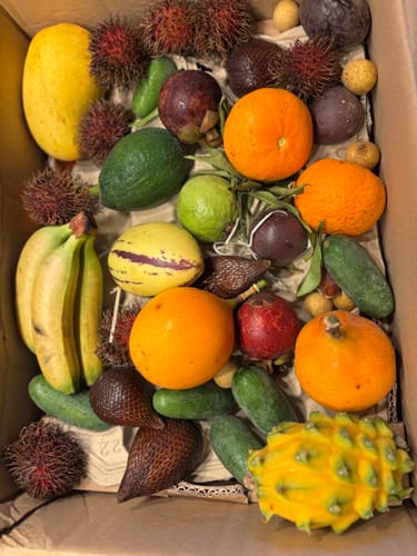 Kunde zeigt die bunte und vielfältige Auswahl in seiner Probierbox 'Exotische Früchte'.