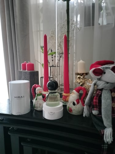 Customer photo review of Miraj Brizant