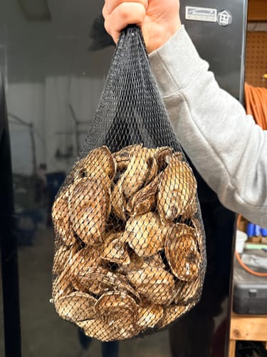 Customer photo review of Canadian East Coast Oysters