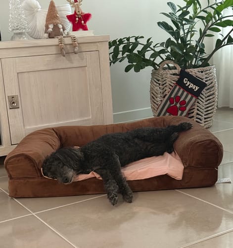 Customer's black dog sleeping comfortably on the brown Pet Sofa Bed.