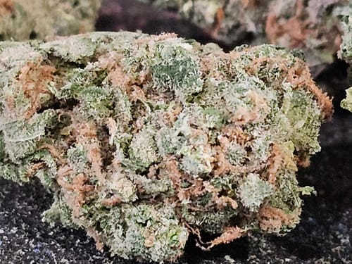 Customer photo review of Maui Wowie THCA Flower