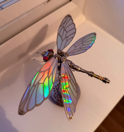 Customer's assembled Dragonfly model on a stand, showing its iridescent wings reflecting rainbow colors.
