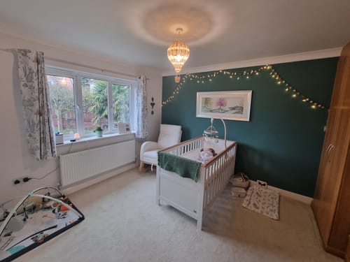 Customer photo review of Riverbank Bunnies (Deluxe Version) By Catherine Stephenson