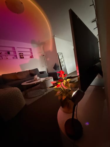 Customer photo review of Gloworx Sunset Lamp