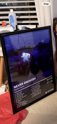Customer photo review of Daniel Caesar Album Posters