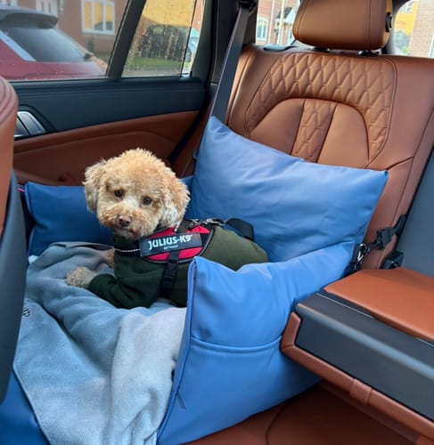 Customer photo review of The Dog Dock
