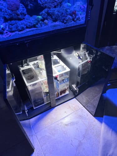 Customer photo review of Fiji Cube Fiji-20 Advanced Reef Sump 2nd Gen