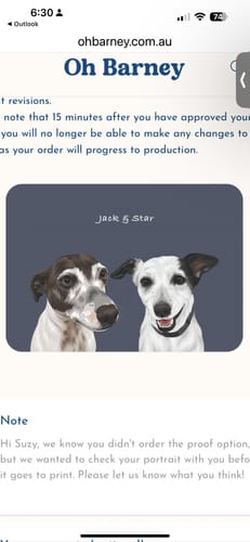 Customer's digital proof of their Custom Two Pet Portrait showing two dogs, 'Jack & Star', on a blue background.