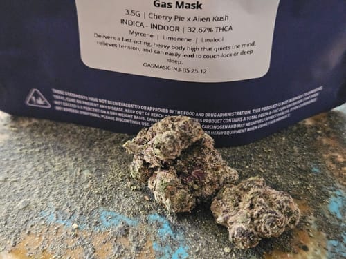 Customer photo review of Gas Mask