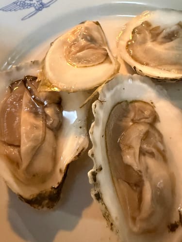 Customer photo review of Love Point Oysters - 50 Count - NYE Pre-Order
