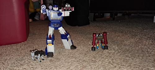 Customer photo review of 4th Party RP46 KO RP01 Acoustic Wave (Soundwave MP size)