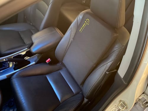 Customer photo review of Giraffe Cushion