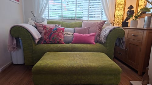 Customer photo review of Fabric Paint -- Olive