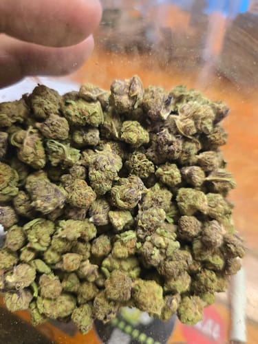 Customer photo review of Bulk THCA Smalls