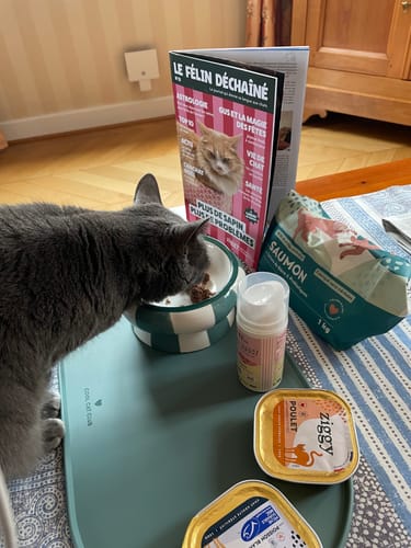 Photo d'un client montrant la bouteille d'Huile Oméga Boost à côté d'un chat gris qui mange dans sa gamelle.