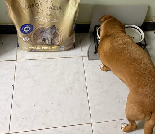 Customer photo review of Grain Free Light & Senior