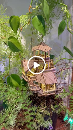 Customer video review of Forest Cottage
