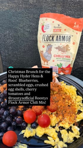 Customer's Daily Deworm + Gut Support sprinkled over a meal of eggs and berries, with the product bag in the background.