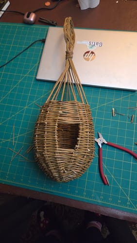 Customer photo review of The Bird Box - Course and Kit