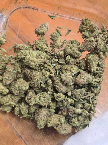 Customer photo review of Bulk THCA Smalls